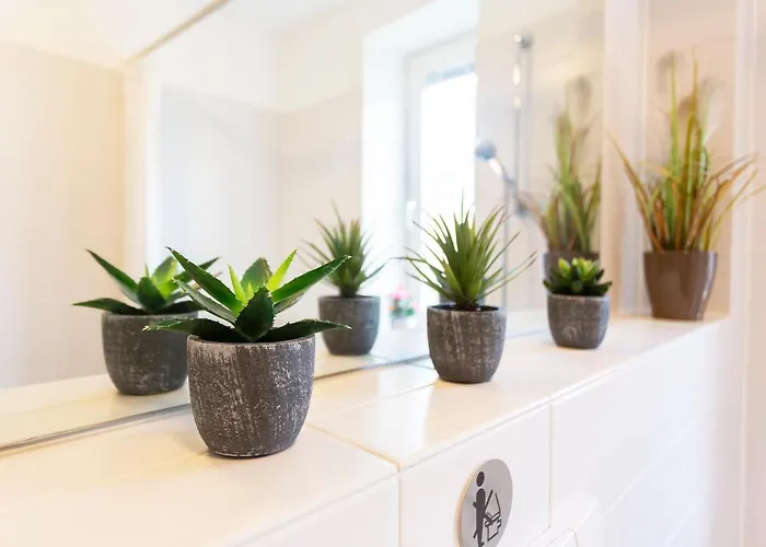 An Der Salamanderburg Apartment Schierke