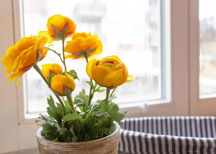 An Der Salamanderburg * 施尔奇